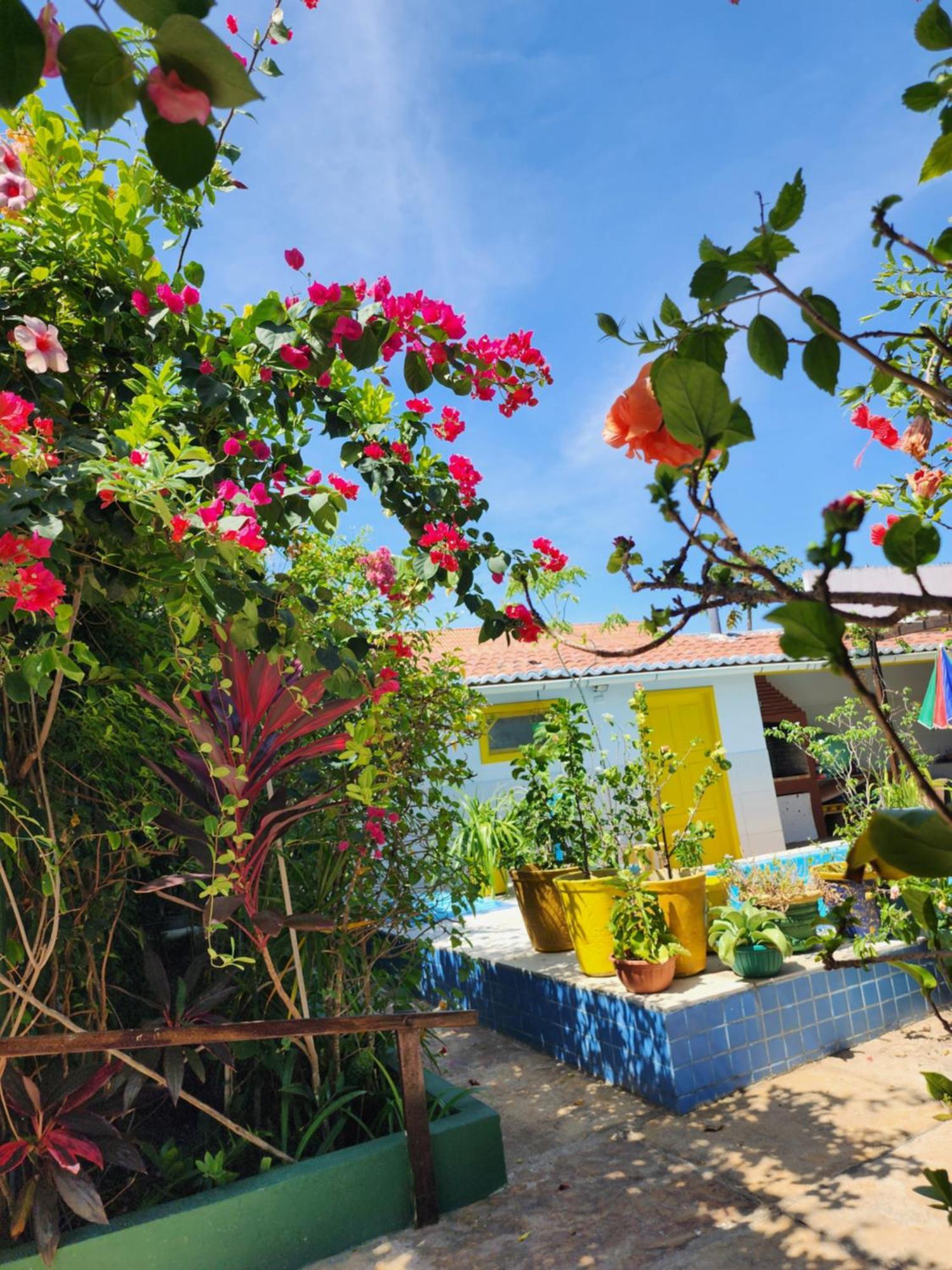 Maceió Mandala Dreams Pousada E Portal Holistico المظهر الخارجي الصورة